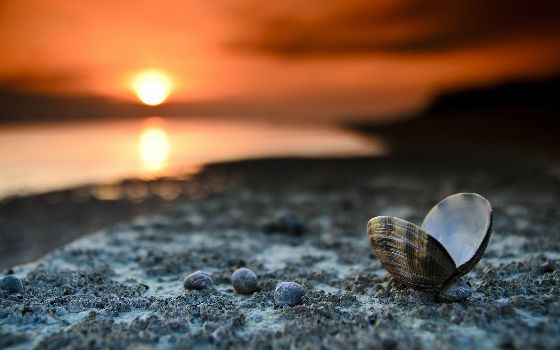 1920 x 1080 HD Wallpapers 2935